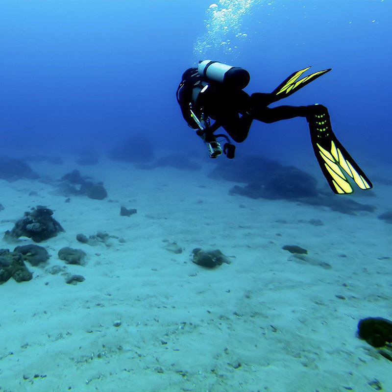 Καταδύσεις